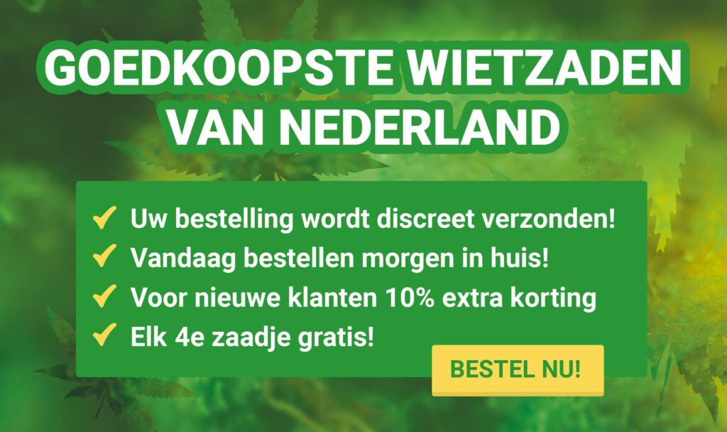 Cannabis Samen Goedkoopste wietzaden bestellen