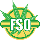 fso logo1