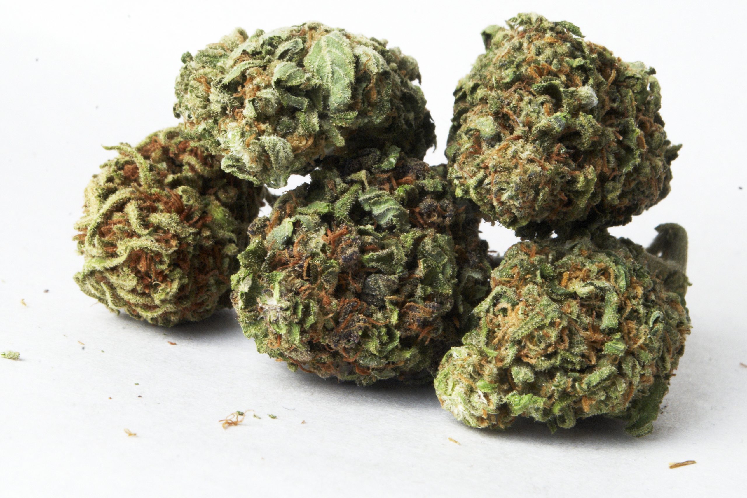 cannabis drugs cannabis-drugs