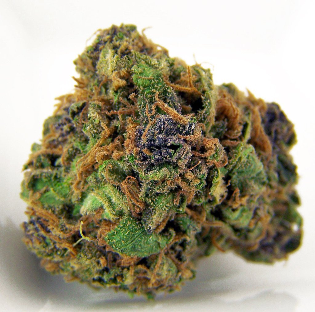 Haze Berry Cannabis Samen