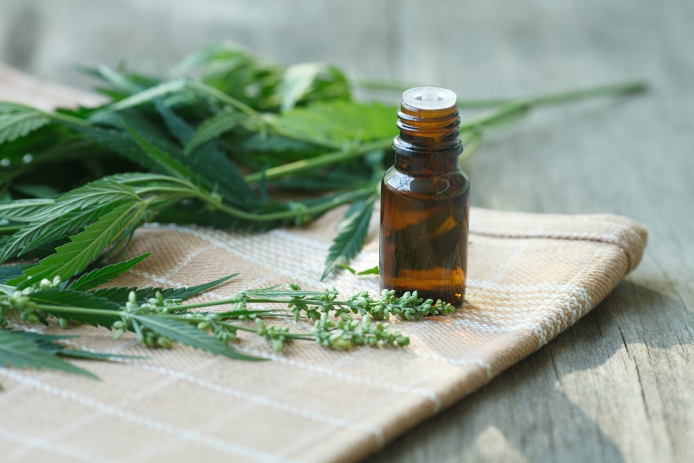 Cannabisöl herstellen