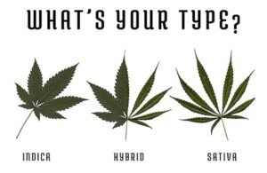 Wat is Hybrid