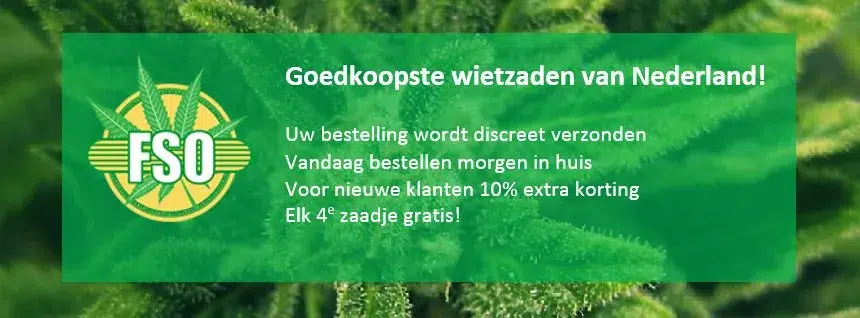 Cannabis Samen in Apeldoorn bestellen