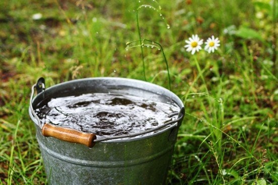 Regenwasser für deine Cannabis-Pflanze