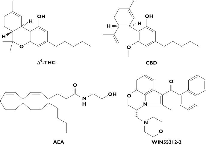 Cannabis, CBD und THC 1 Cannabis, CBD und THC