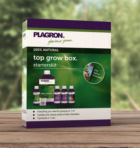 TIPPS ZUM ANBAU VON OUTDOOR-CANNABIS buiten wiet voeding