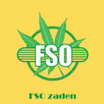 FSO Samen