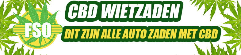 Autoflower wietzaden met CBD