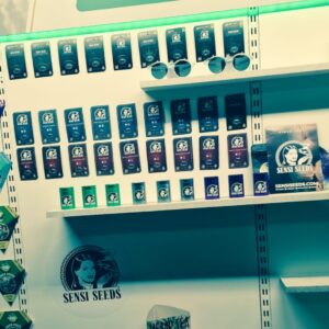 Cannabis Samen kaufen in Groningen - Wietzaden kopen - Voor buiten of binnen | 4 HALEN, 3 BETALEN