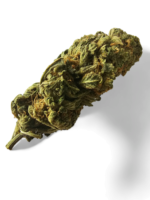 Blue Dream Cannabis Top