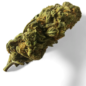 Blue Dream Cannabis Top
