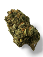 Blue Dream Cannabis