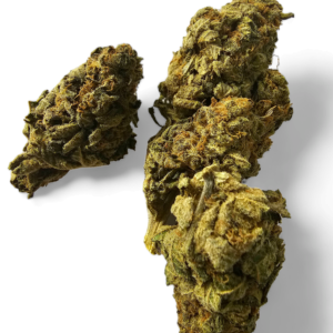 DMT Autoflower Cannabis Samen