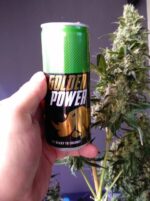 Gorilla Gold Auto