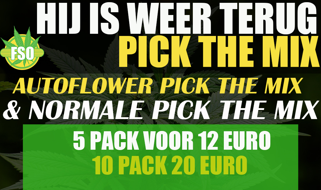 Pick the Mix Cannabis Samen Pick the mix Cannabis Samen