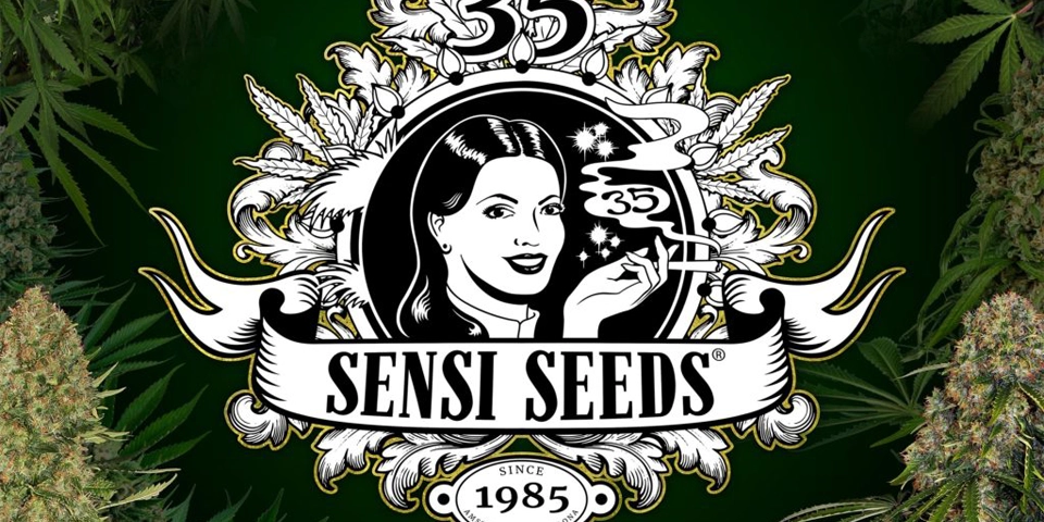 Startseite SENSI SEEDS GRONINGEN